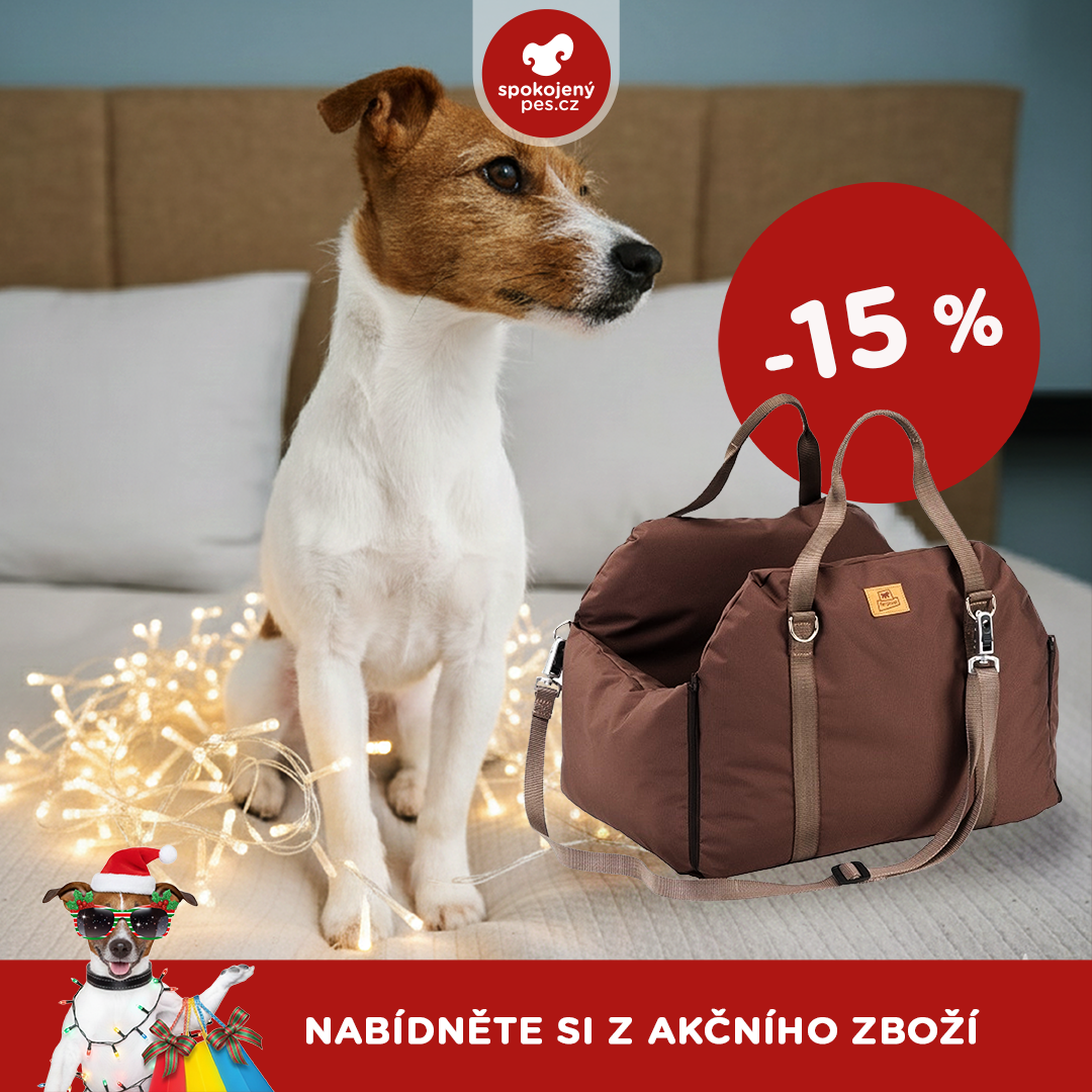 akční prosinec_pes12.png